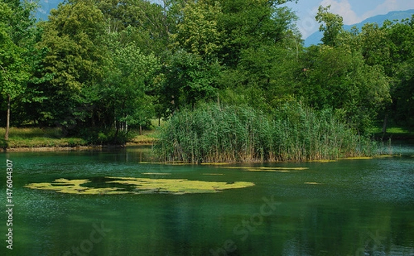 Obraz peace and tranquility In the silence of nature