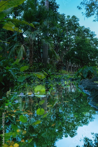 Obraz Tropical Forest with Reflections in a Pond.