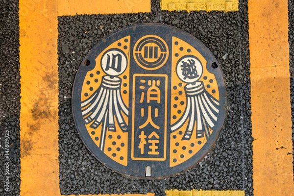 Obraz Decorated Manhold cover