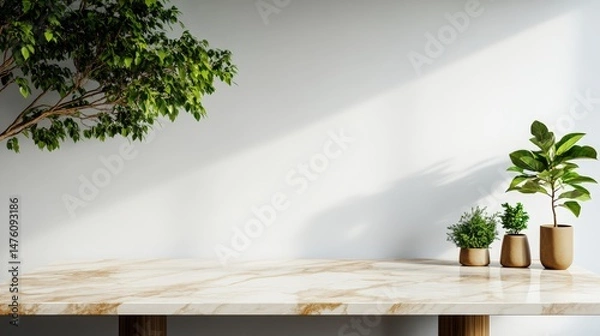 Obraz Marble countertop showcases potted plants against a white wall with tree branches casting shadows above it.