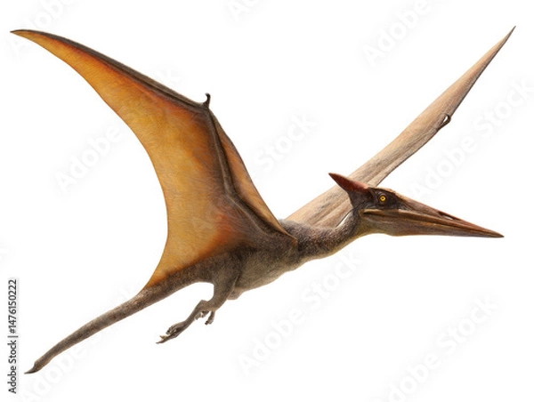 Fototapeta pterodactyl flying in the air isolated, transparent background	