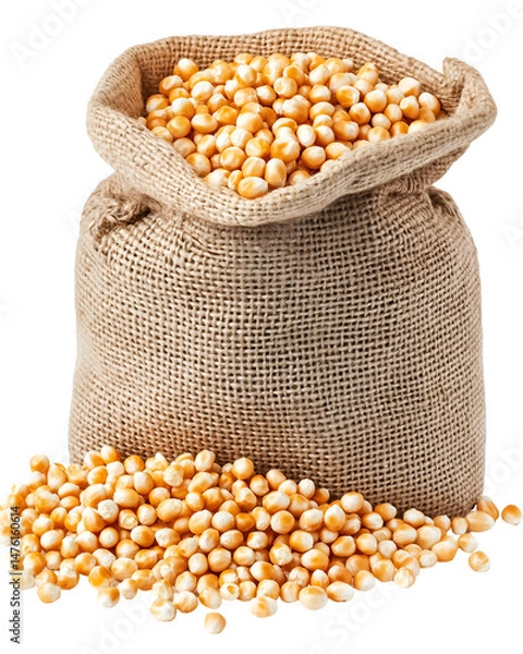 Fototapeta Burlap Sack Filled with Golden Corn Kernels and Overflowing Pile