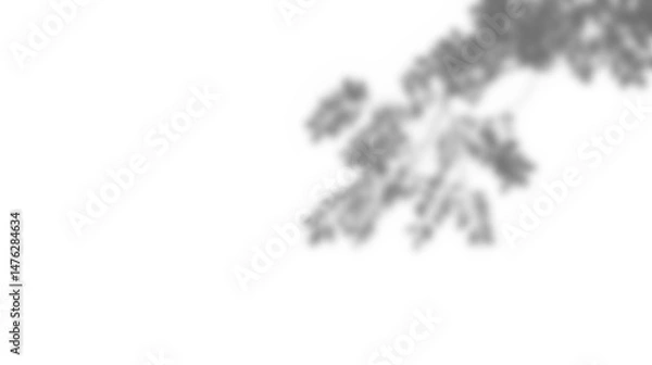 Fototapeta Leaf shadow overlay effect mockup with blurred leaves and foliage branch creating soft natural look for design backgrounds and creative presentations