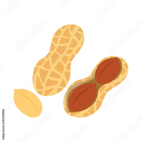 Obraz 落花生。フラットなベクターイラスト。
Peanuts. Flat vector illustration.