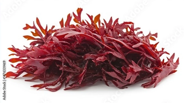 Fototapeta Close-up of dulse seaweed, a red alga, stacked on a white surface, studio shot, showing the texture and color of the edible sea vegetable