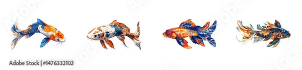 Obraz Koi fish variety swimming collection, detailed scales, cut out transparent