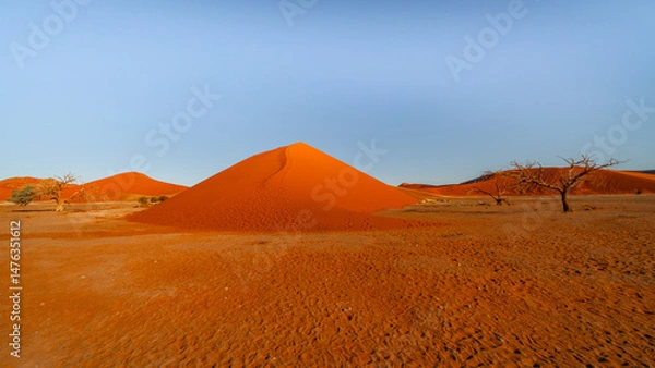 Fototapeta huge sand dunes in the Namib Desert with trees in the foreground of Namibia