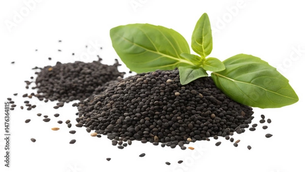 Fototapeta Basil seeds isolated on transparent background 