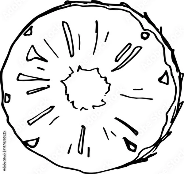 Fototapeta Pineapple slice outline hand drawn clipart illustration food element