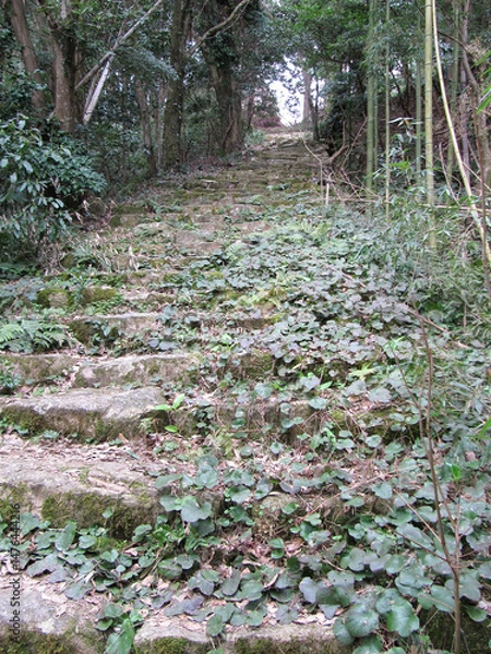 Obraz 日本：観音寺城跡／本丸跡への石段【日本100名城・国指定史跡】滋賀県近江八幡市安土町