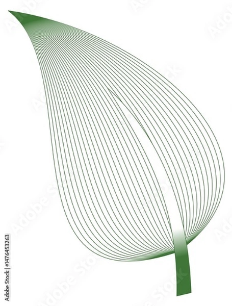 Obraz Green leaf. Vector element for diploma, certificate, currency, voucher or money design. JPEG version.