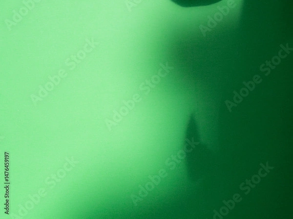 Fototapeta Background green abstract line shadow overlay on cement wall floor beige mockup product cosmetic summer tropical nature presentation frame template eco backdrop environment
