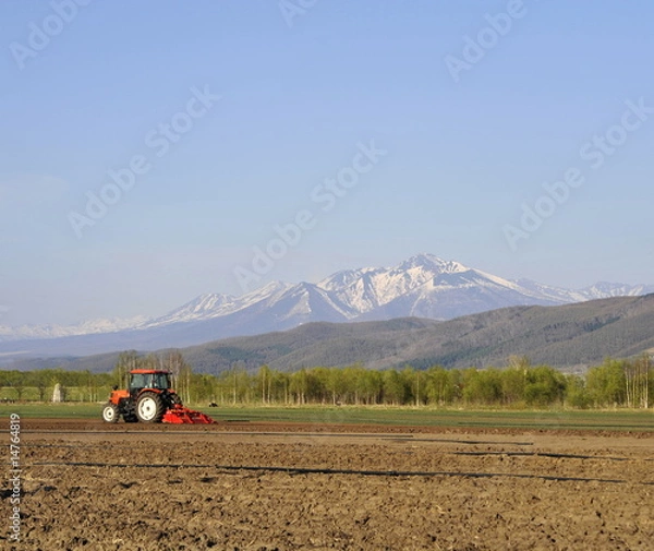 Fototapeta 畑の準備