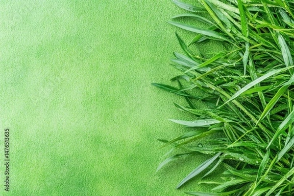 Obraz Fresh green grass with morning dew captured in natural light from a 90 degree overhead perspective