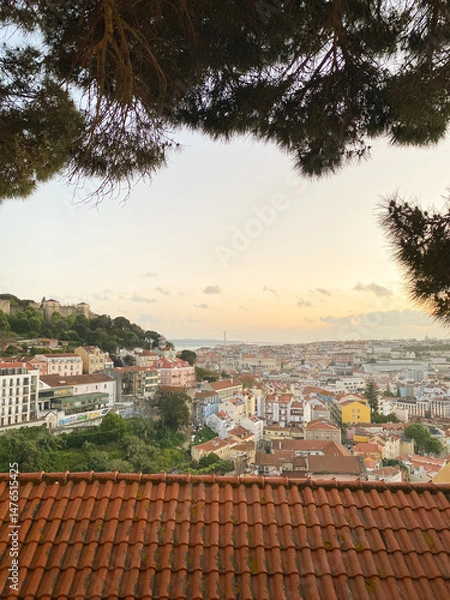 Fototapeta Sunset view over Lisbon rooftops framed by pine trees, warm evening light casting glow on colorful houses