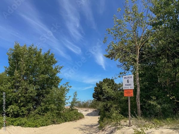 Fototapeta A sandy path leading towards the beach, marked by a sign saying „ENTRANCE 6 PIASKI," under a vibrant blue sky, Baltic Sea coast, Poland.