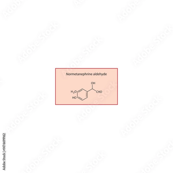 Fototapeta Normetanephrine aldehyde skeletal structure. Oxidative intermediate of normetanephrine compound schematic illustration. Simple diagram, chemical formula.