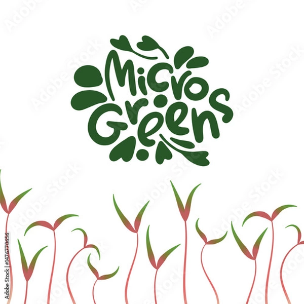 Fototapeta Illustration Microgreens lettering at the top and a border of red microgreens sprouts at the bottom. On a white background. Theme healthy food.