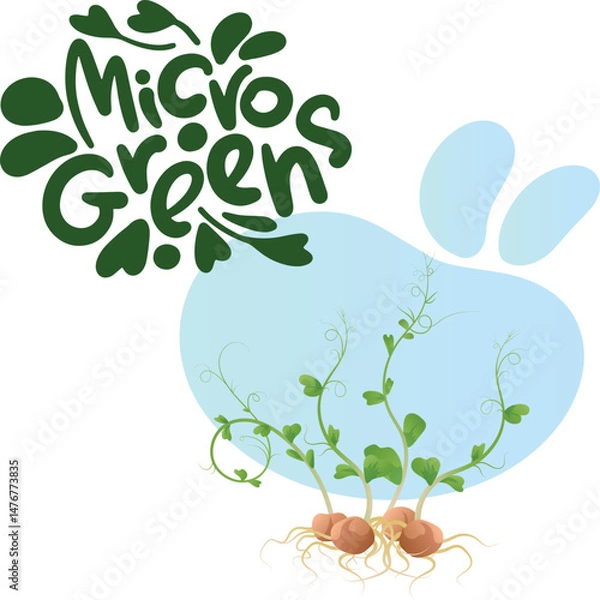 Fototapeta Illustration with stylized inscription Microgreens and drawing of microgreen sprouts with roots and seeds, on the background of abstract blue spot. Image on white background.