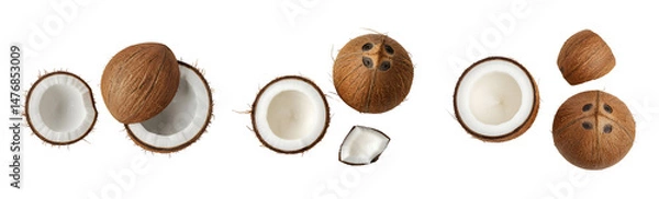 Fototapeta Coconut – on a transparent background
