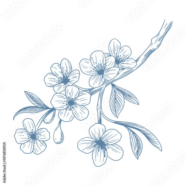 Fototapeta Botanical blue wedding flower on white background. Hand drawn floral, flower and leaf branch in toile de jouy style. Line art for wedding, monogram, invitation, greeting, logo, birthday cards