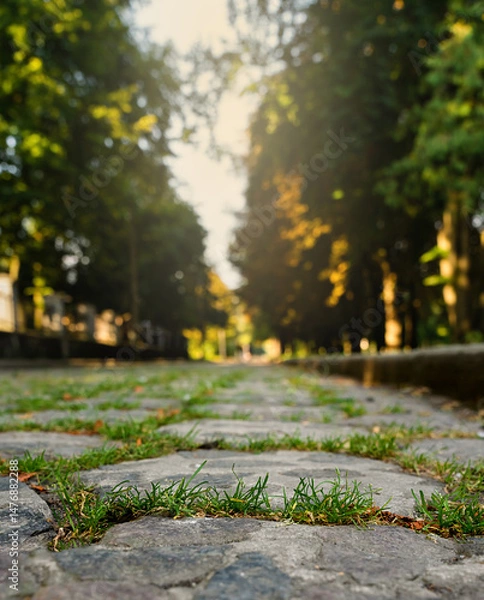 Fototapeta Autumn park. Sidewalk slabs overgrown with green grass. Close-up. Selective focus.