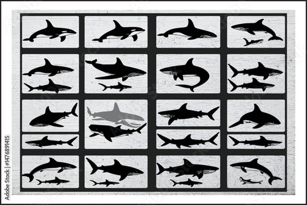 Fototapeta Great White & Orca Illustration Set
Marine Animal Graphics Bundle
Shark and Whale Vector Art
Underwater Predator SVG Pack