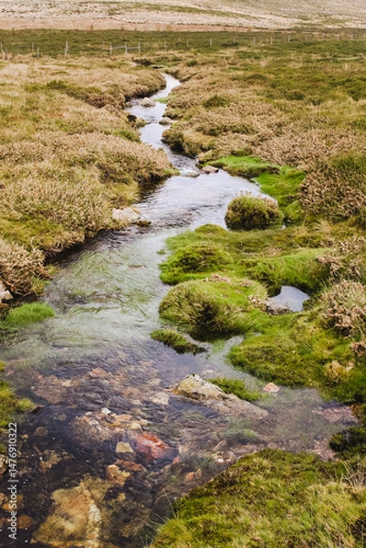 Obraz Pelos encantos da Serra