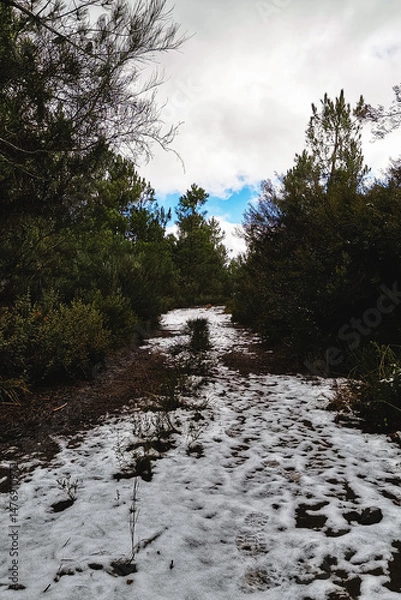 Obraz Explorar Tarouca