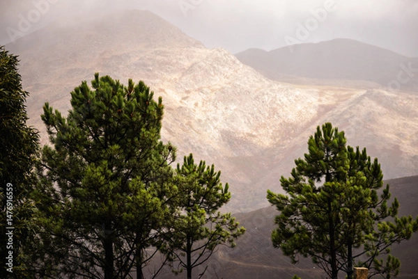 Obraz Nevoeiro na Serra