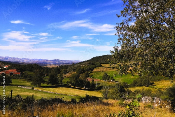 Obraz Testes no Gerês