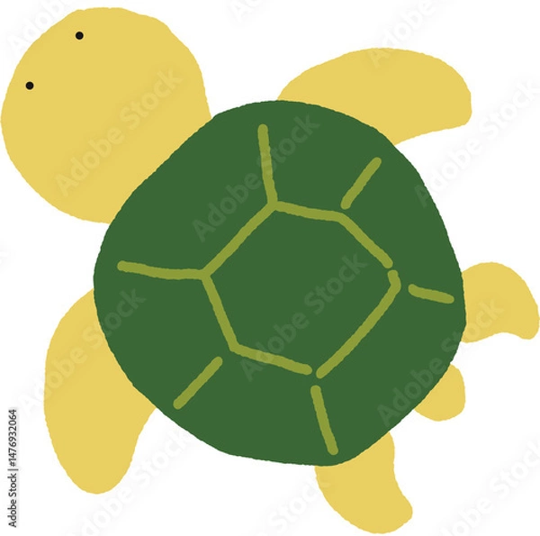 Fototapeta 거북이