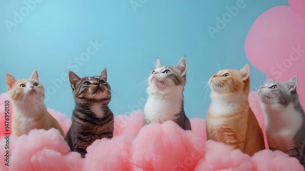Fototapeta Five Kittens on Pink Clouds Looking Up