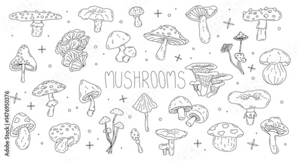 Fototapeta Vector set of various poisonous and edible mushrooms in doodle style. Seasonal hand-drawn mushrooms in line art style for design. Toadstool, fly agaric, chanterelle, boletus. Isolated stock graphics