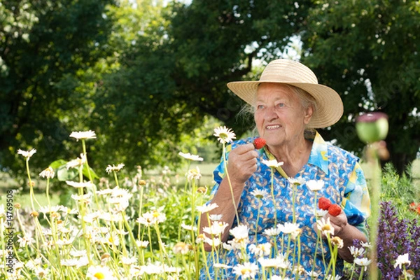 Obraz Frische Erdbeeren