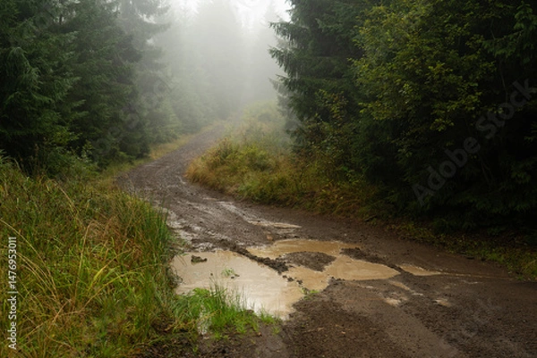 Fototapeta Winding muddy path through a foggy forest landscape in early morning light. Hiking in Carpathian Mountains, Ukraine