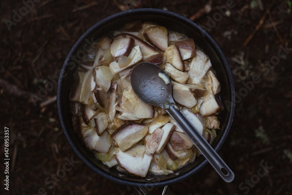 Fototapeta Cooking fresh mushrooms in a pot over an open fire during a camping trip in the woods. Hiking in Carpathian Mountains, Ukraine