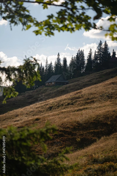 Fototapeta Cabin nestled in a hillside among trees during a sunny afternoon. Hiking in Carpathian Mountains, Ukraine