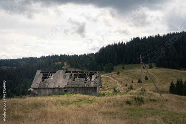 Fototapeta Old wooden barn stands alone in the mountains under cloudy skies with surrounding grass and forest. Hiking in Carpathian Mountains, Ukraine
