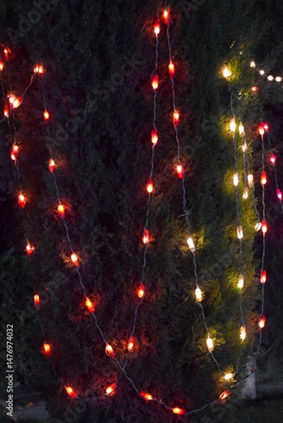 Obraz lighting on tree at night, Night theme garden decoration with tree decorated with light bulb, Wedding ceremony evening with candles and lamps in the coniferous pine forest