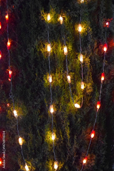 Obraz lighting on tree at night, Night theme garden decoration with tree decorated with light bulb, Wedding ceremony evening with candles and lamps in the coniferous pine forest