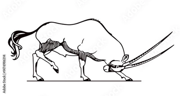 Fototapeta Vector card with hand drawn graceful oryx with its head down. Ink drawing, graphic style. Beautiful African wildlife illustration, logo template