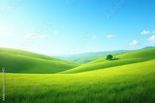 Fototapeta Green Fields Under Cloudless Skies