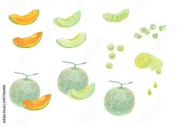 Obraz 水彩絵の具で描いたメロンのイメージセット