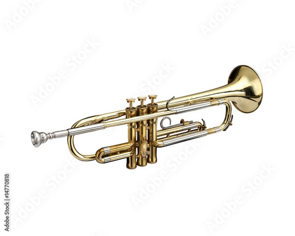 Obraz Trumpet