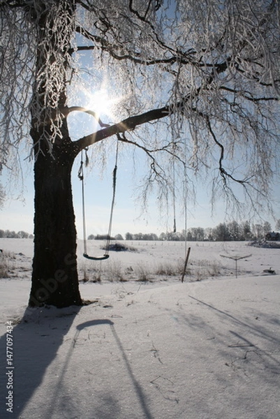 Obraz Swing in winter landscape