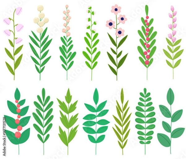 Obraz Green twigs and flowering branches collection, plant decorative isolates.