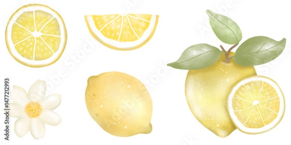Fototapeta Hand drawn lemon watercolor set, isolated on transparent background.