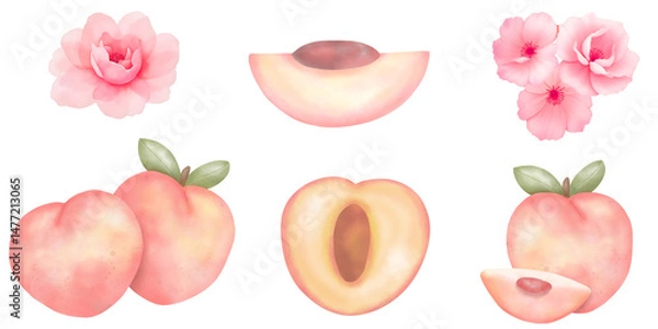 Fototapeta Watercolor set, Peach fruit, hand drawn, isolated on transparent background.