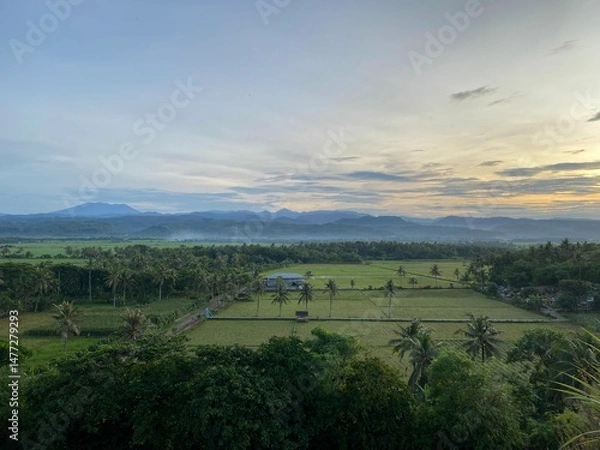 Fototapeta Peaceful rural scenery at sunrise with green rice fields, trees, hills and mountains in the distance under colorful sky in Garut West Java, Indonesia